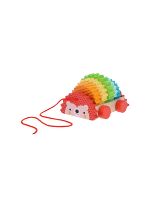 Wooden Rainbow Hedgehog