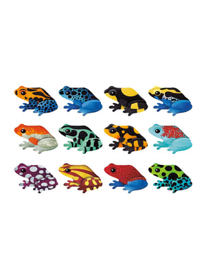 Tropical Frog Memory Game