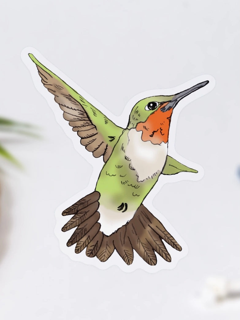 Hummingbird Sticker