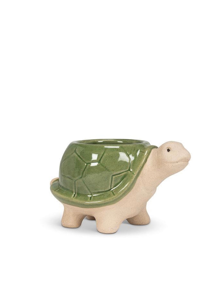 Turtle Planter