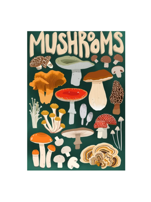 Mushroom Forager 1000 Piece Puzzle