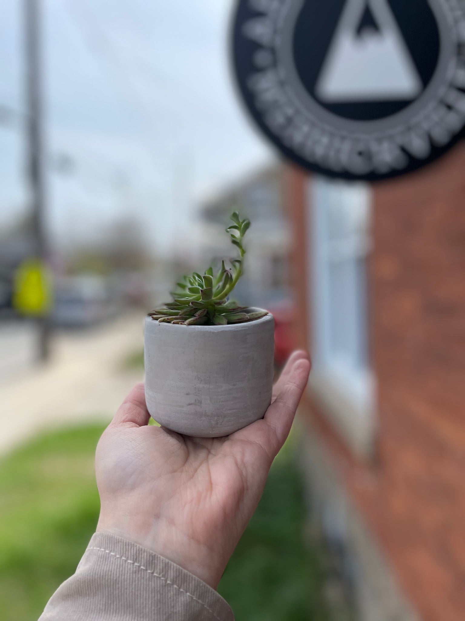 Mini Concrete Pot